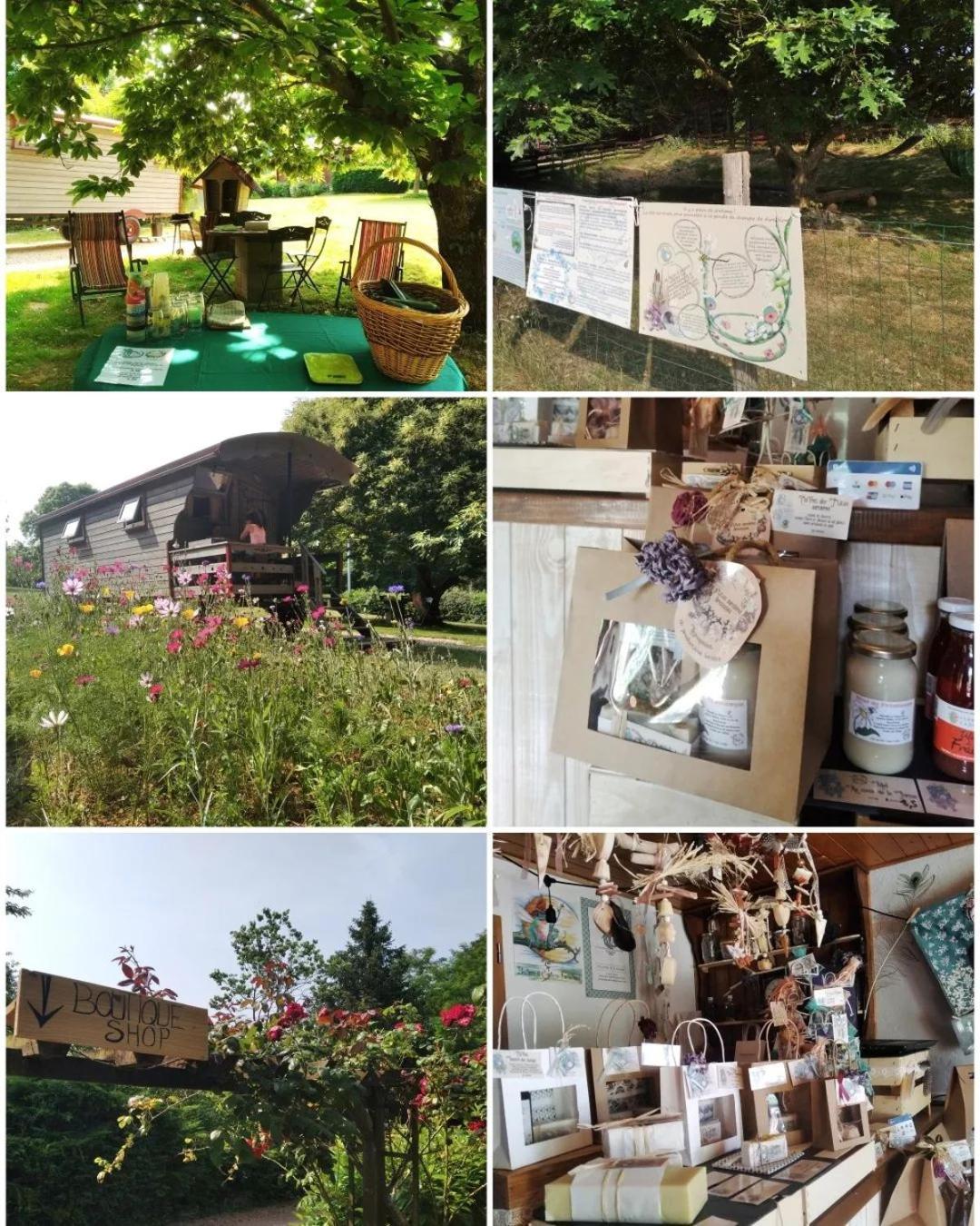 Roulotte Irlandaise Polly Hotel Saint-Vincent-en-Bresse Exterior photo